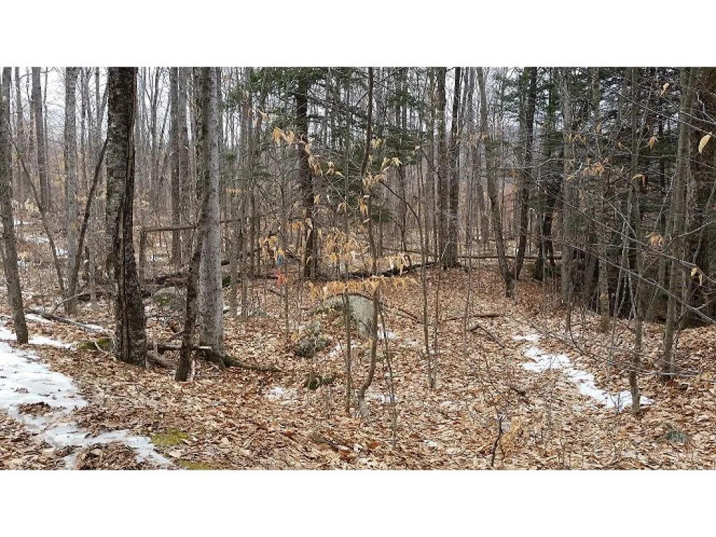 South Mountain Road Weathersfield VT 05151