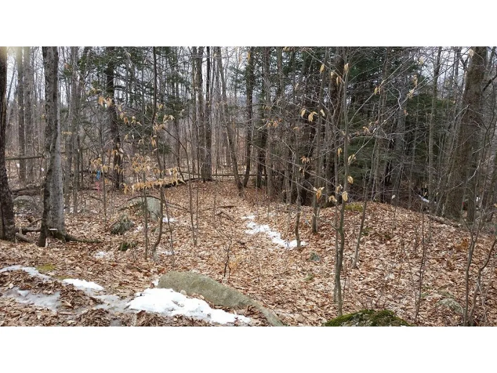 South Mountain Road Weathersfield VT 05151