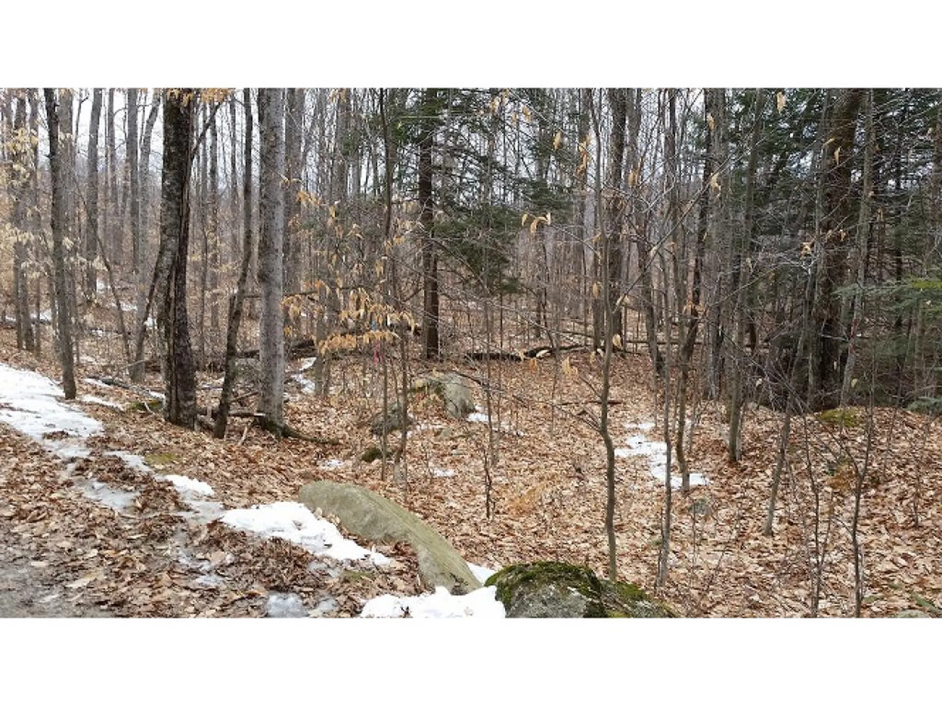 South Mountain Road Weathersfield VT 05151