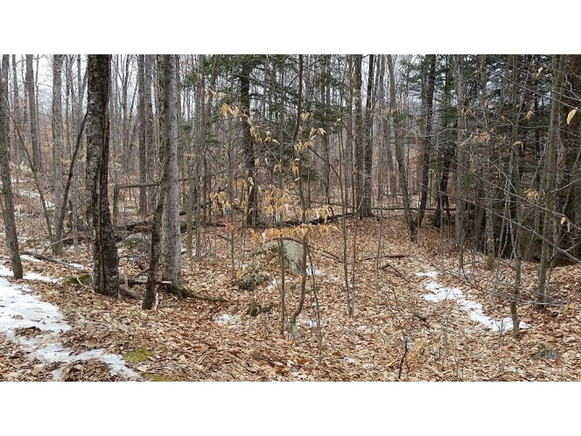 South Mountain Road Weathersfield VT 05151