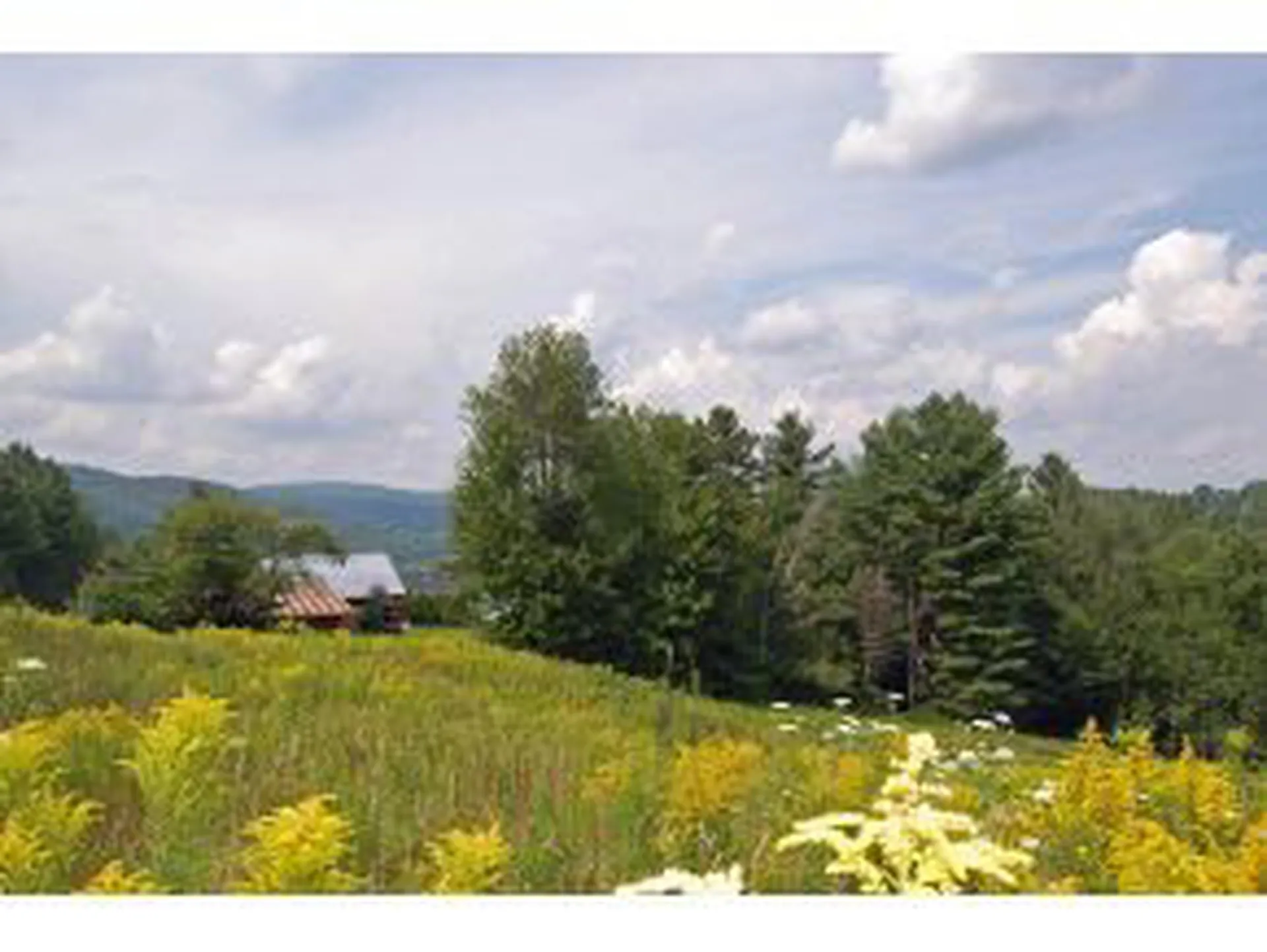 00 East Warren Road Waitsfield VT 05673
