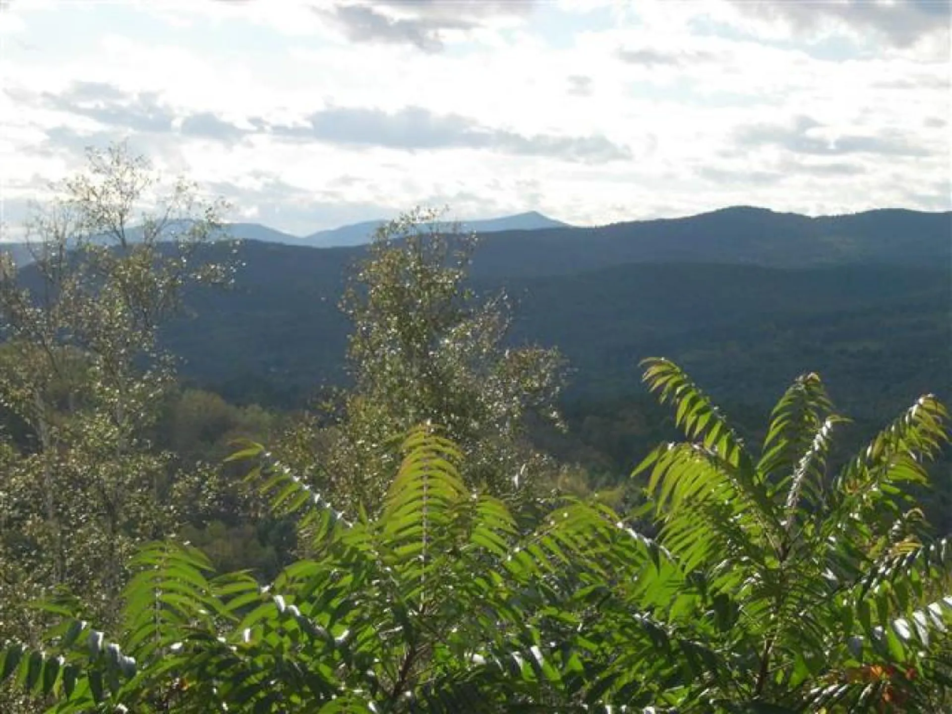 00 Sawyer Road Woodstock VT 05091
