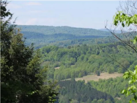 00 Sawyer Road Woodstock VT 05091