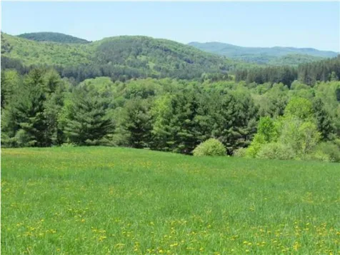 00 Sawyer Road Woodstock VT 05091