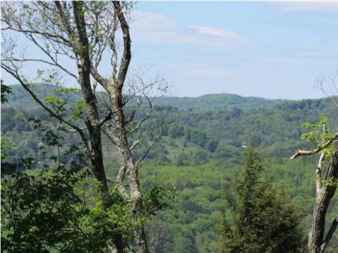 00 Sawyer Road Woodstock VT 05091