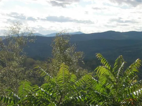 00 Sawyer Road Woodstock VT 05091