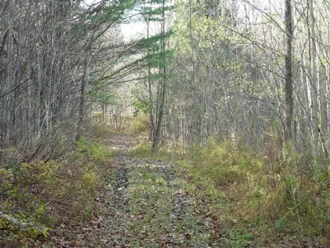 00 Sawyer Road Woodstock VT 05091