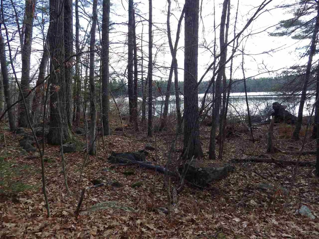 10-11-12 Basin Drive Tuftonboro NH 03853