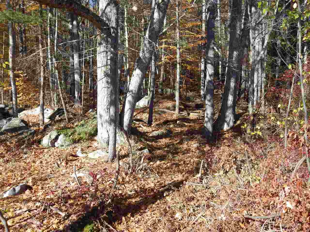 10-11-12 Basin Drive Tuftonboro NH 03853