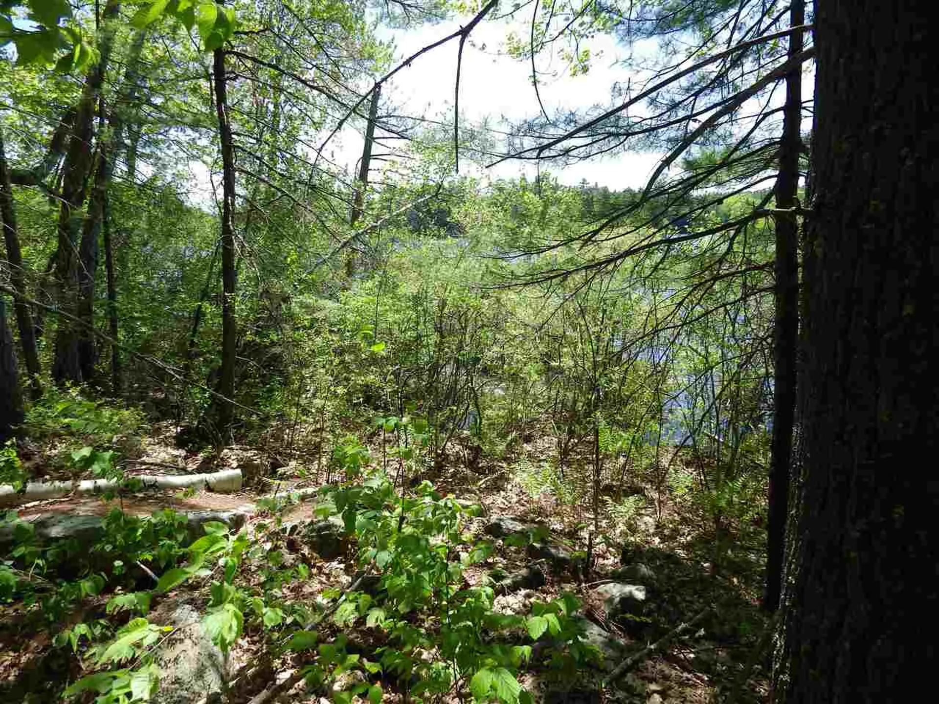 10-11-12 Basin Drive Tuftonboro NH 03853