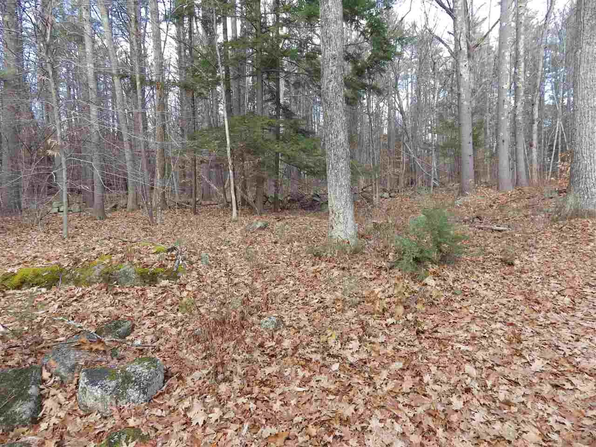 10-11-12 Basin Drive Tuftonboro NH 03853