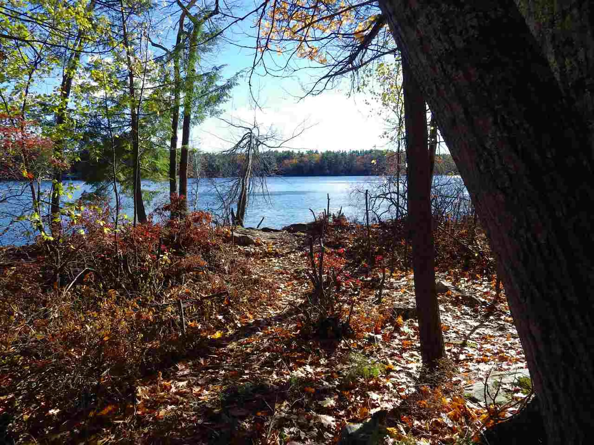 10-11-12 Basin Drive Tuftonboro NH 03853