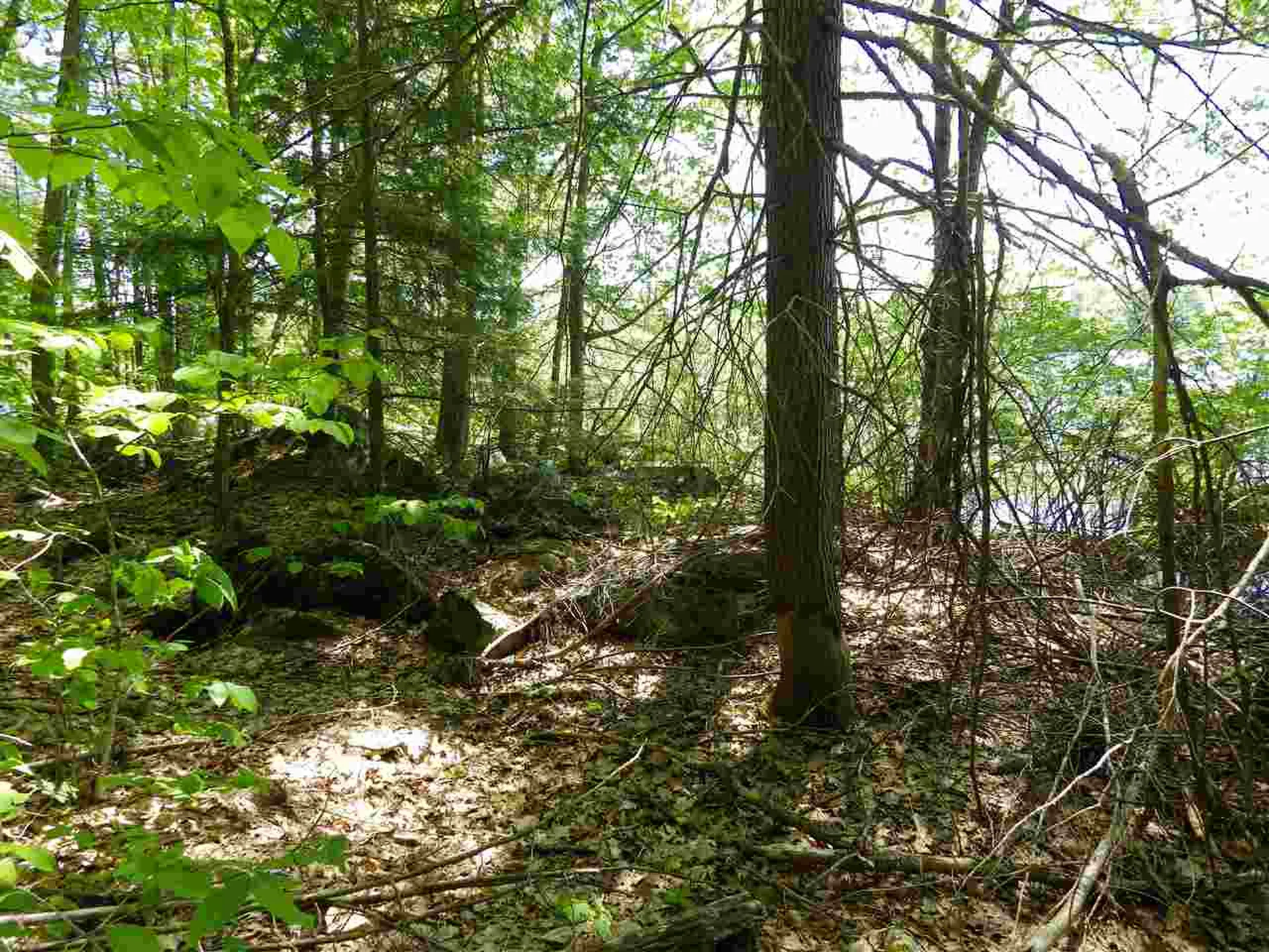 10-11-12 Basin Drive Tuftonboro NH 03853