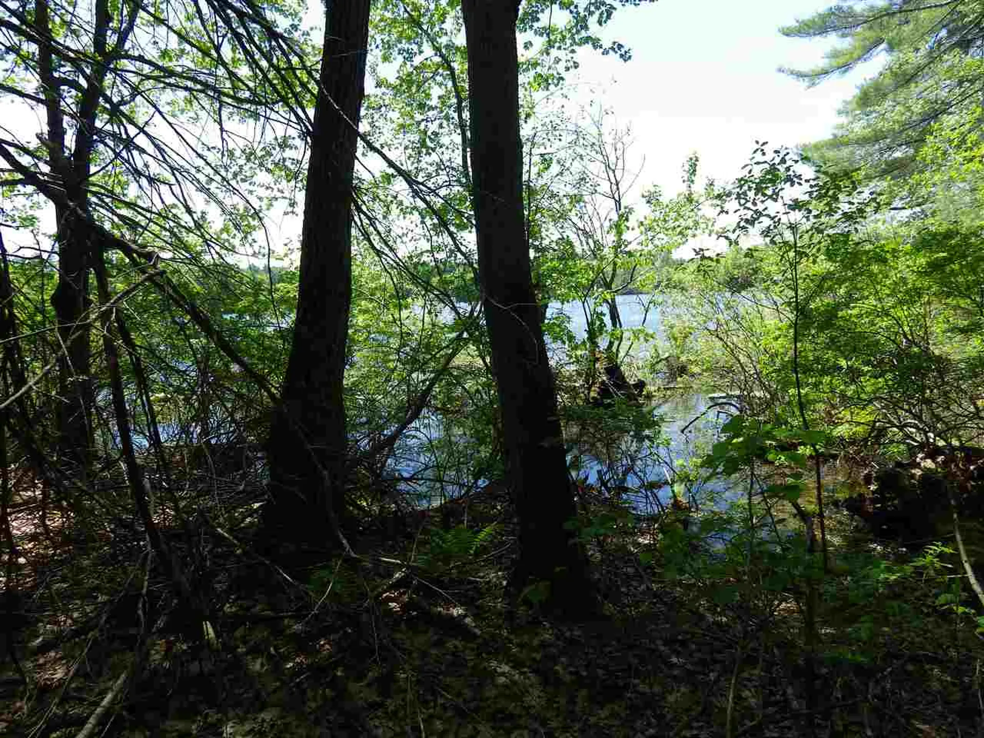 10-11-12 Basin Drive Tuftonboro NH 03853