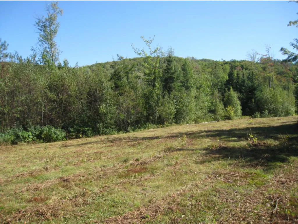Lot 4 East Haven (VT-114) Road Brighton VT 05846
