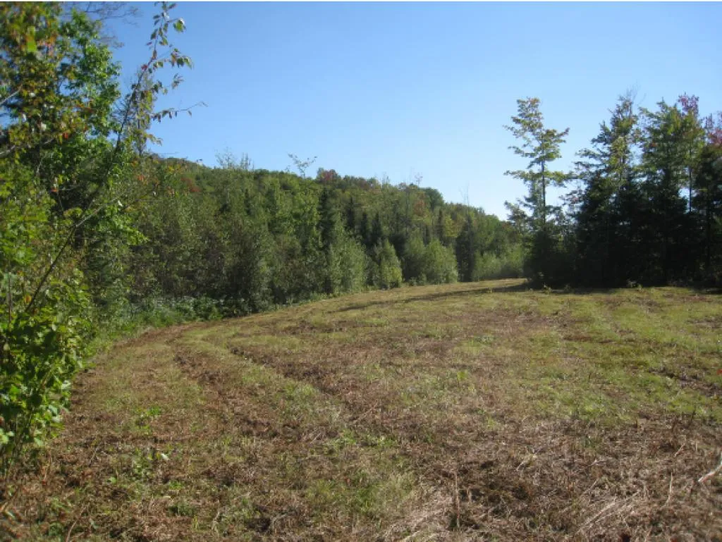 Lot 4 East Haven (VT-114) Road Brighton VT 05846
