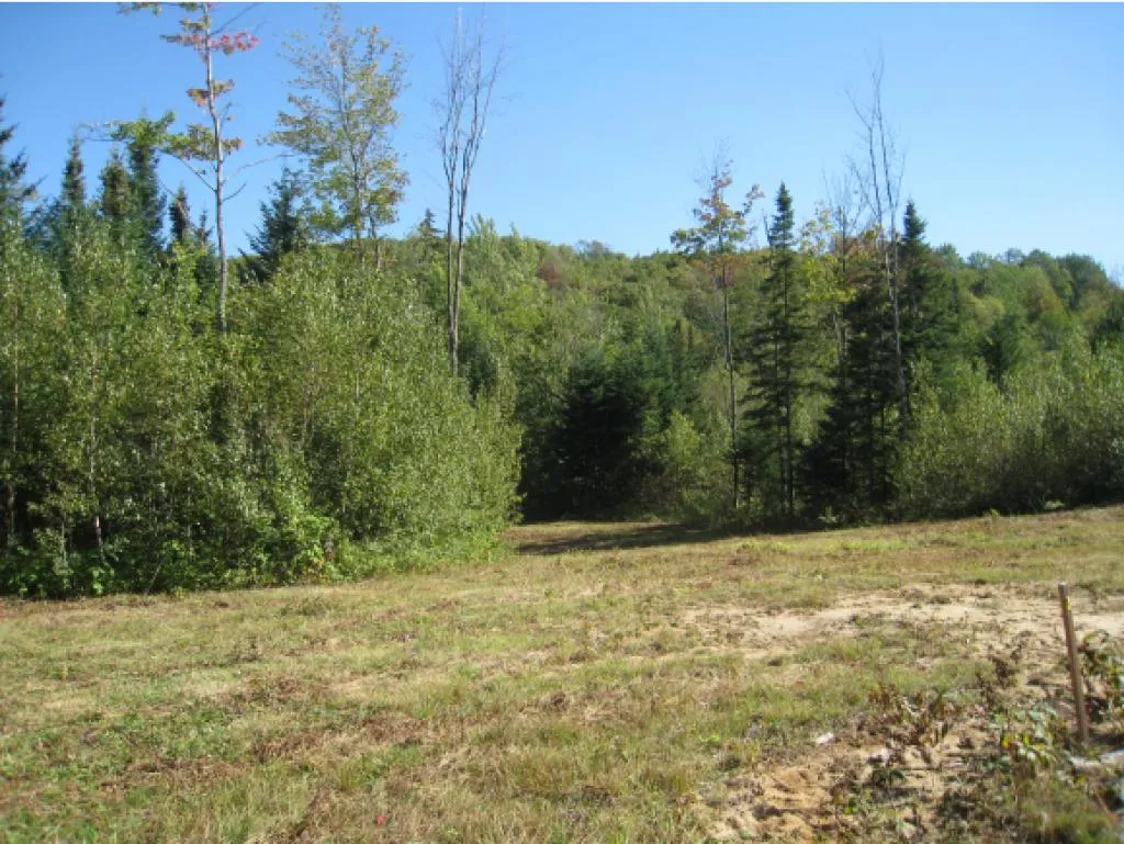 Lot 4 East Haven (VT-114) Road Brighton VT 05846