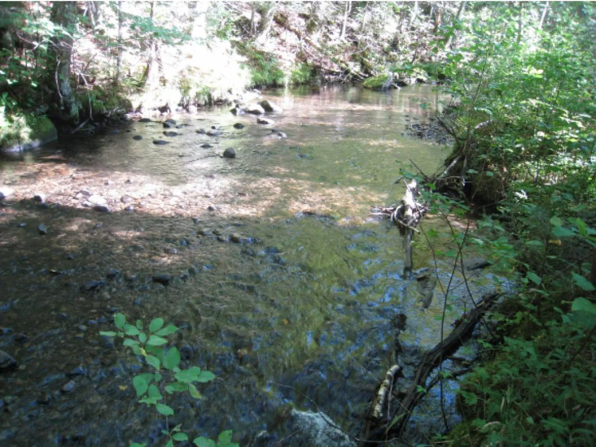 Lot 4 East Haven (VT-114) Road Brighton VT 05846