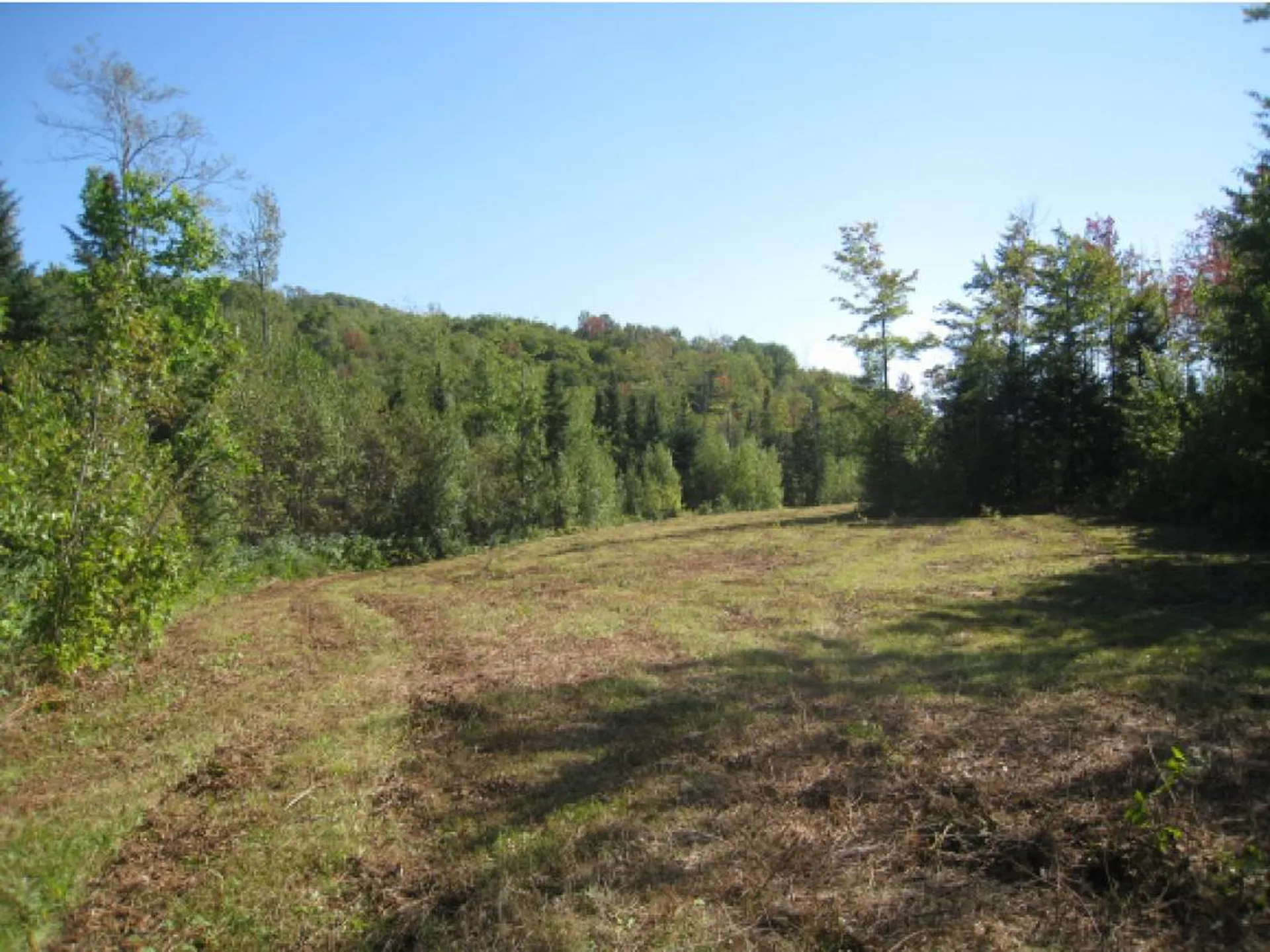 Lot 4 East Haven (VT-114) Road Brighton VT 05846