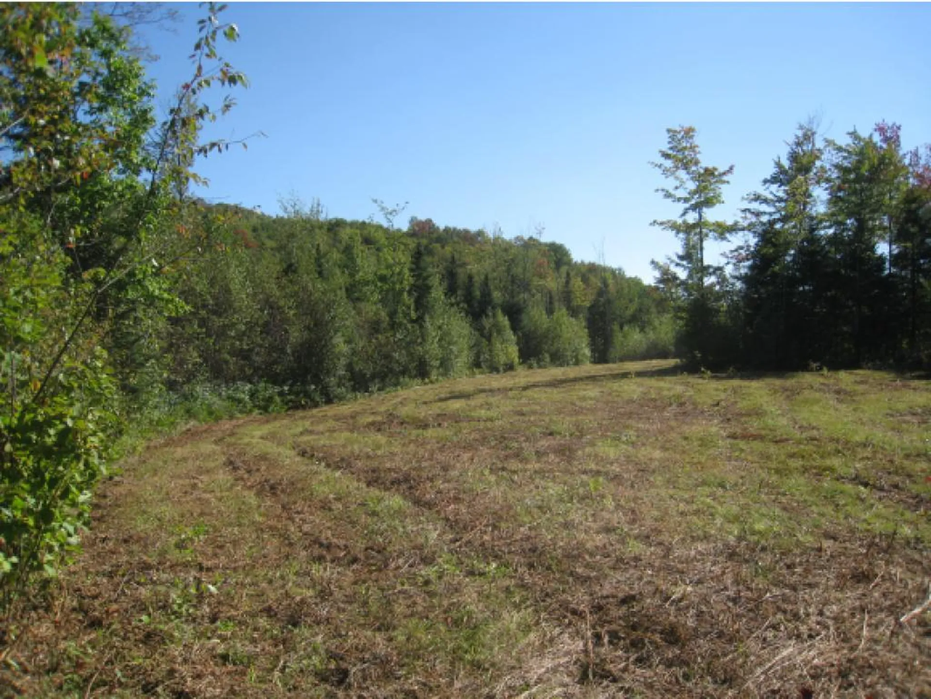 Lot 4 East Haven (VT-114) Road Brighton VT 05846