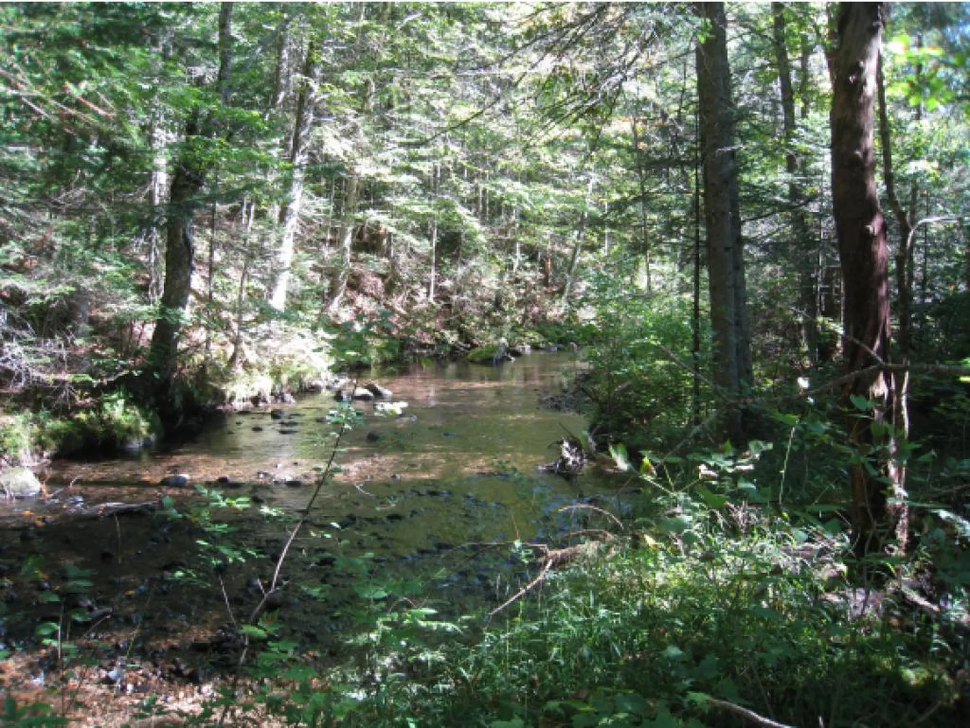 Lot 4 East Haven (VT-114) Road Brighton VT 05846