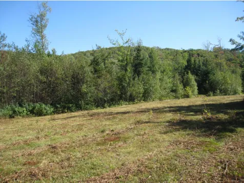 Lot 4 East Haven (VT-114) Road Brighton VT 05846