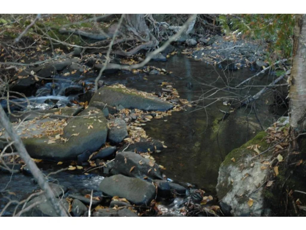 Lot 2 Lower Usle Road Barre Town VT 05641
