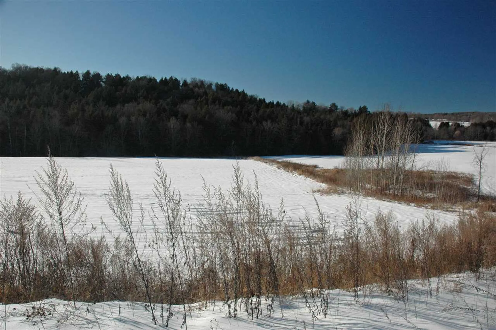 Lot 2 Lower Usle Road Barre Town VT 05641