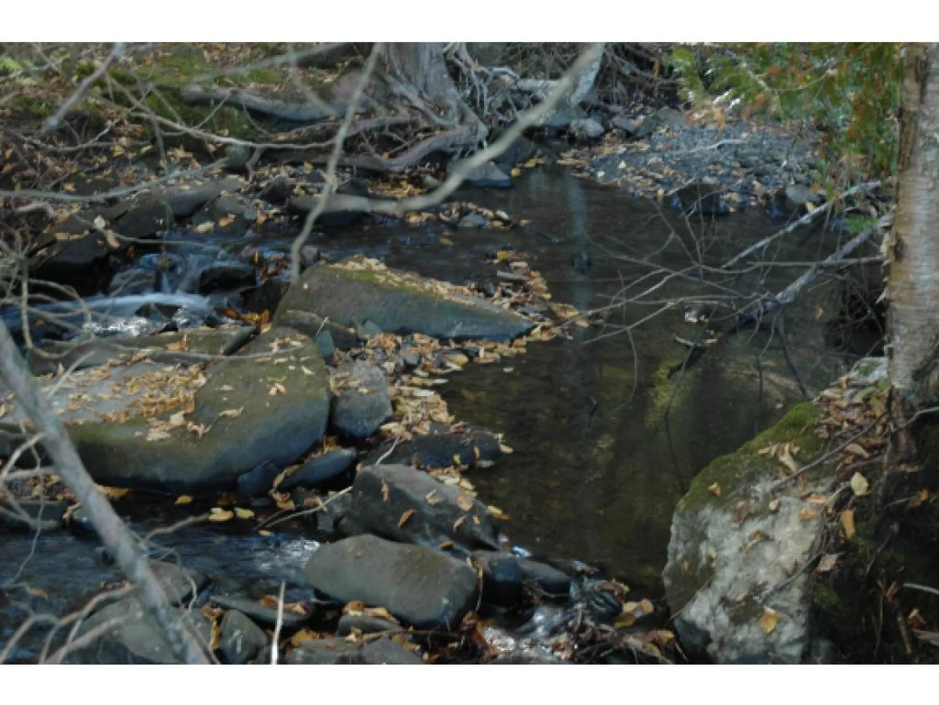 Lot 2 Lower Usle Road Barre Town VT 05641