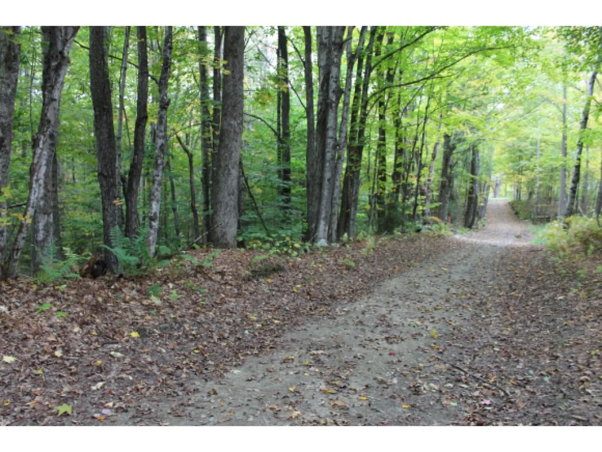 Lot 5c Bix Road Stockbridge VT 05772