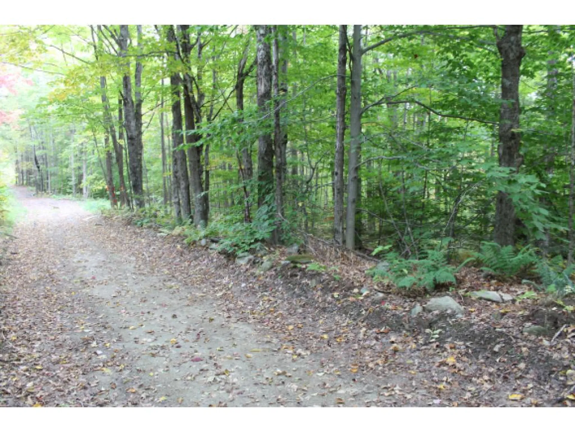 Lot 5c Bix Road Stockbridge VT 05772