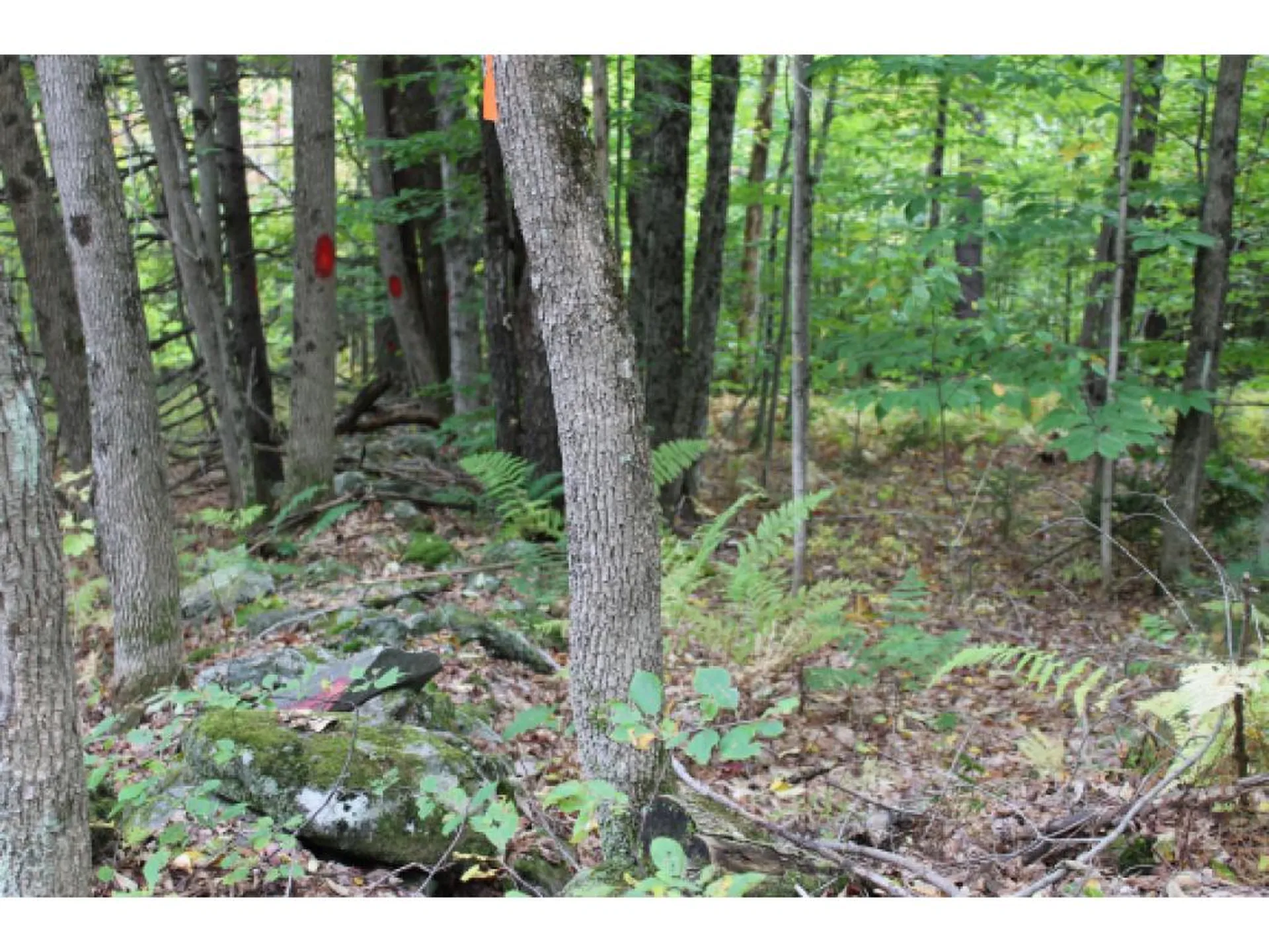 Lot 5c Bix Road Stockbridge VT 05772