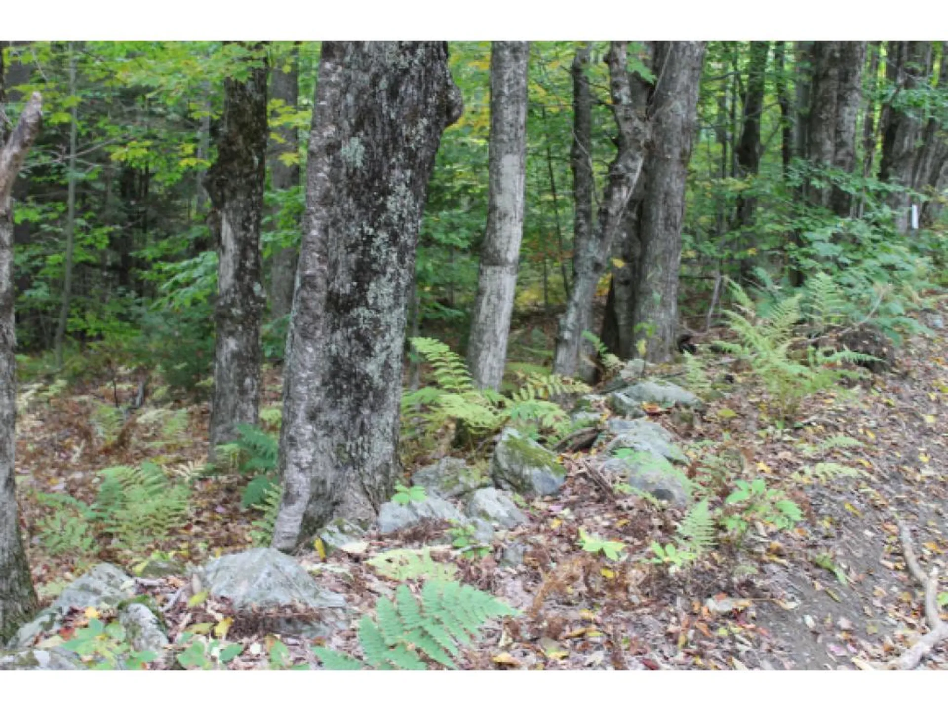 Lot 5c Bix Road Stockbridge VT 05772