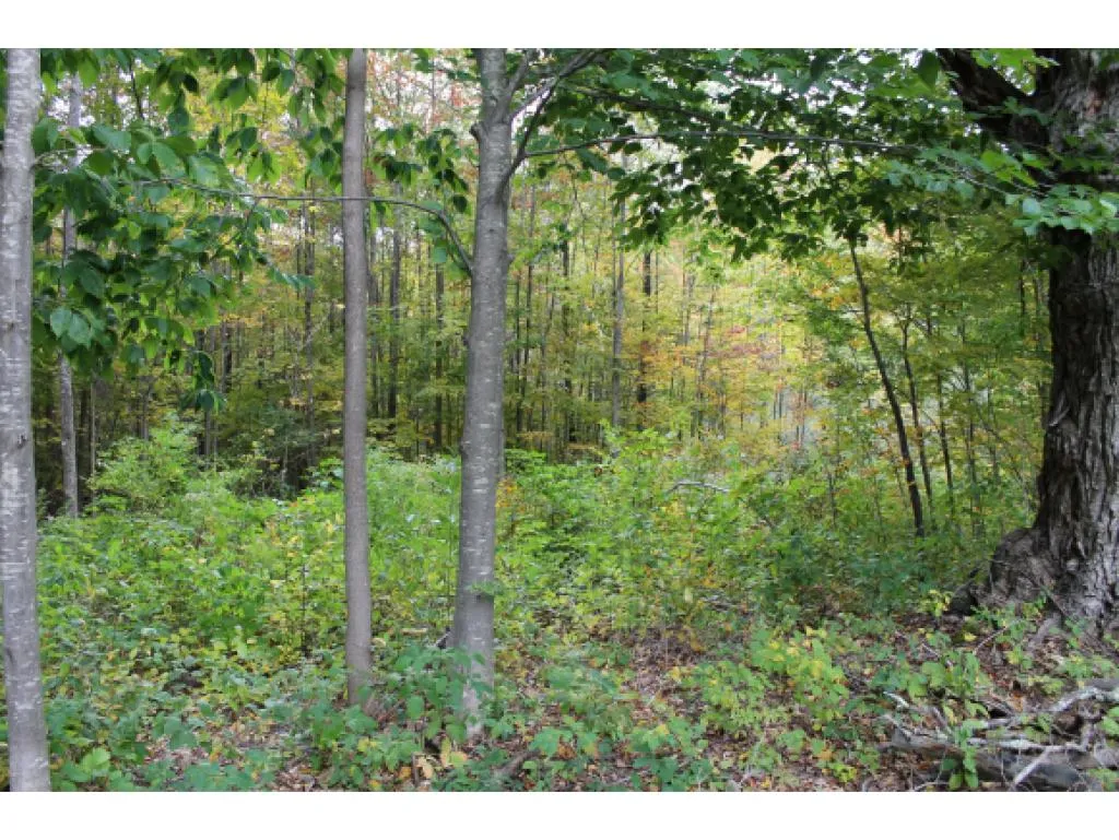 Lot 5b Bix Road Stockbridge VT 05772