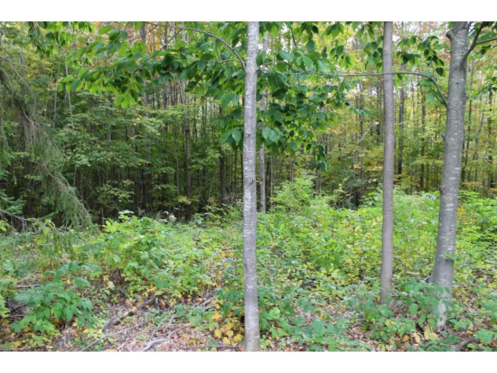 Lot 5b Bix Road Stockbridge VT 05772