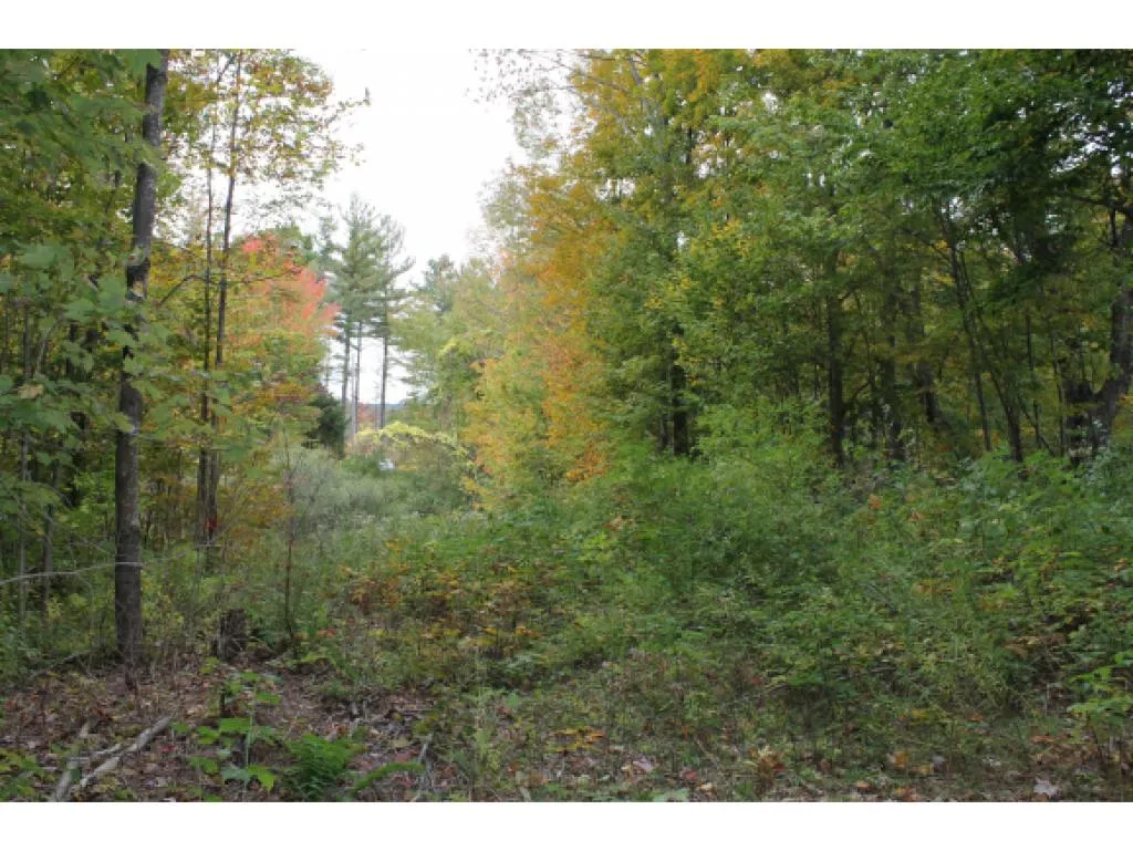 Lot 5b Bix Road Stockbridge VT 05772