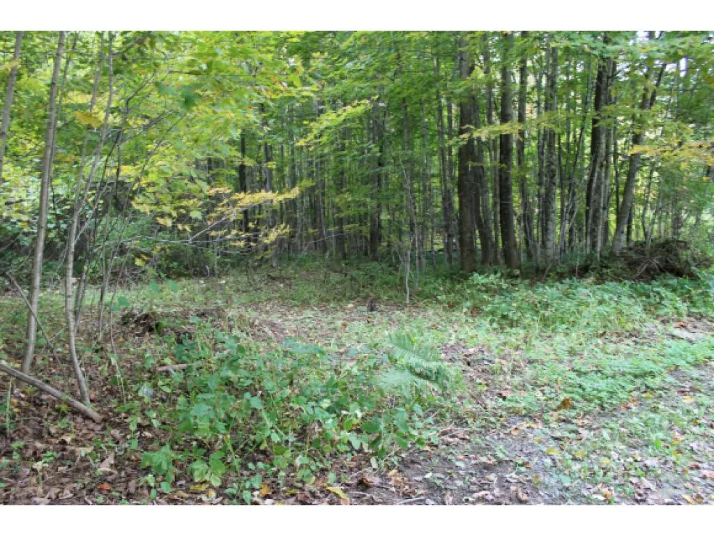 Lot 5b Bix Road Stockbridge VT 05772