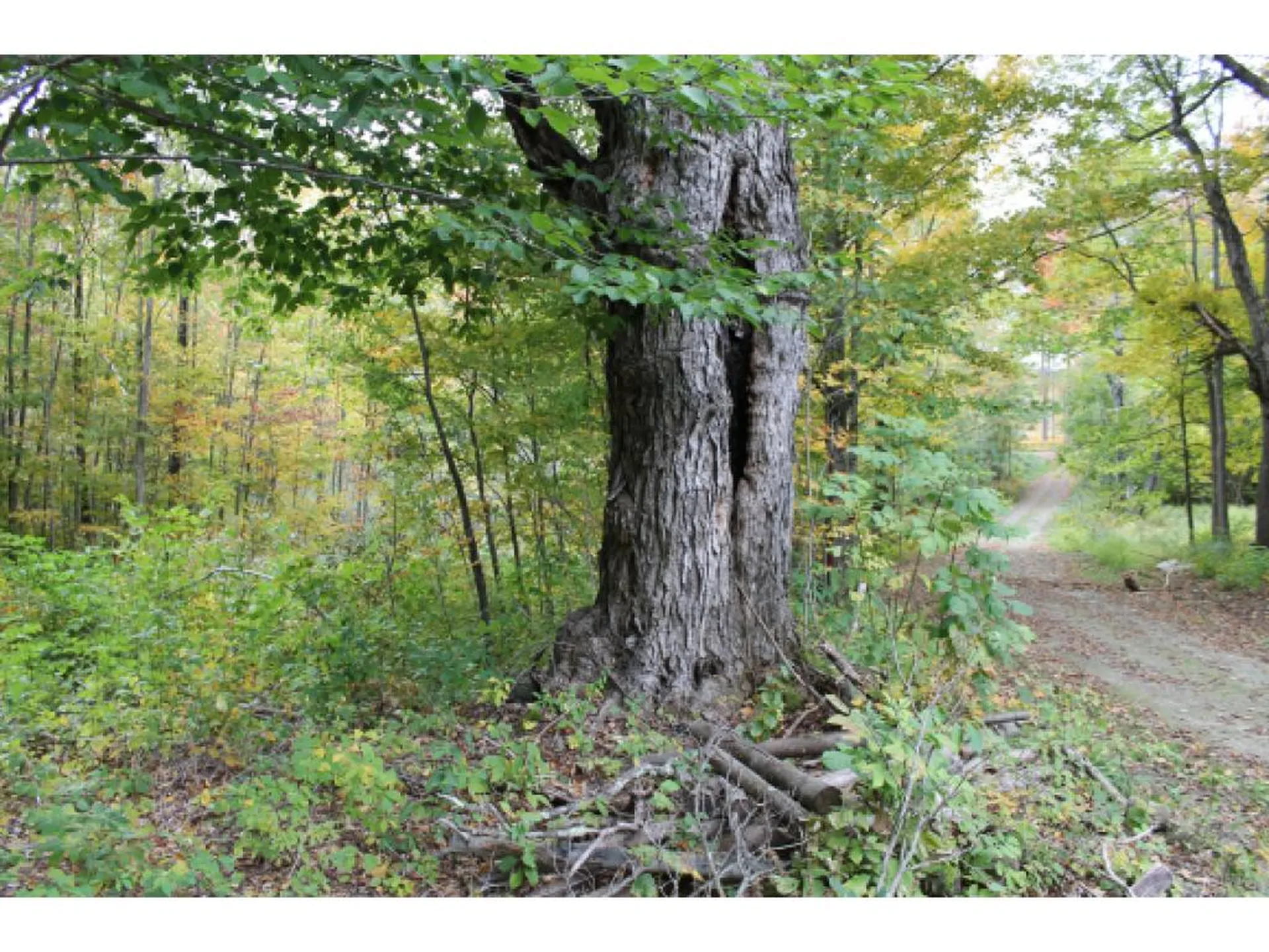 Lot 5b Bix Road Stockbridge VT 05772
