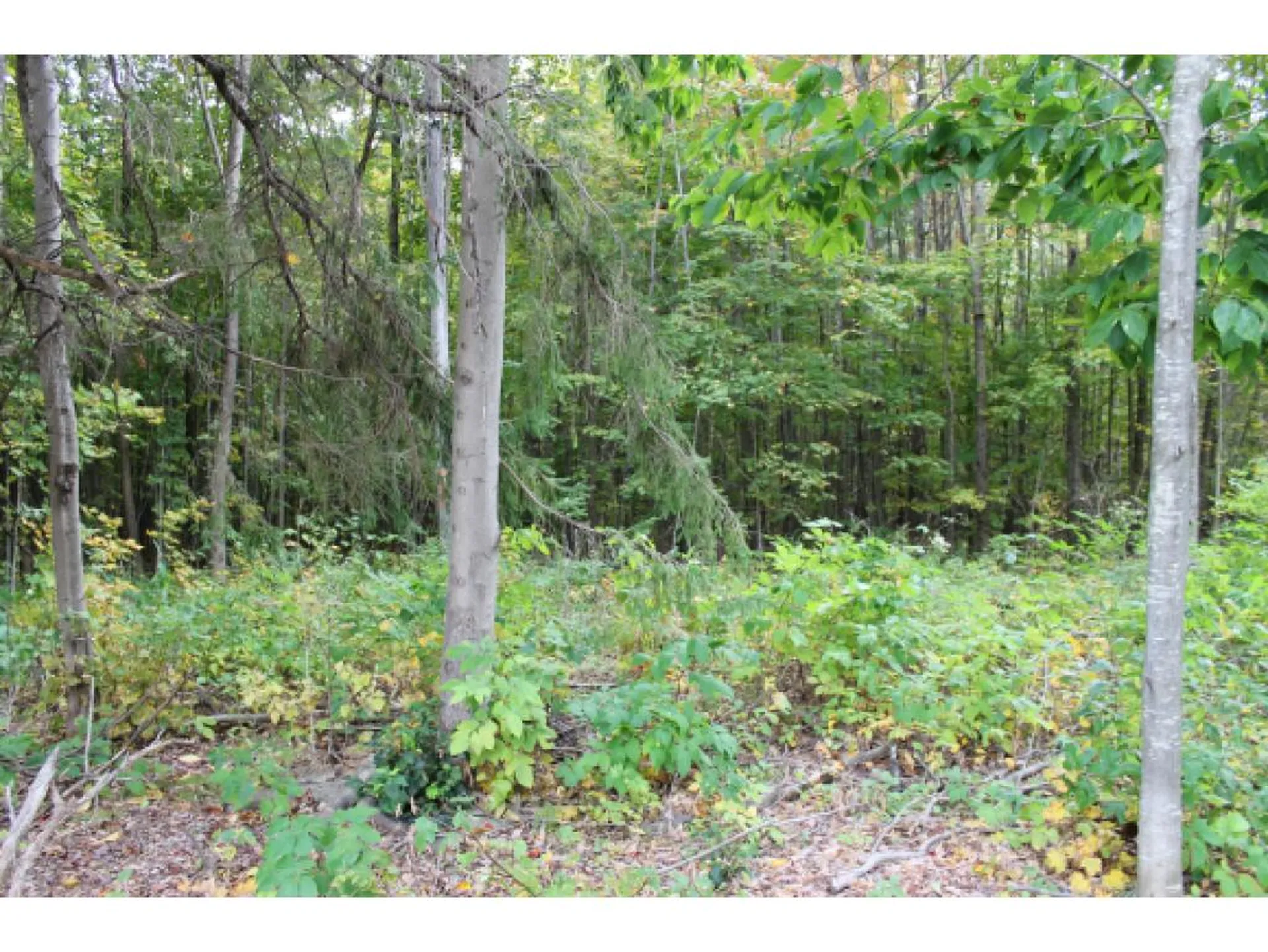 Lot 5b Bix Road Stockbridge VT 05772