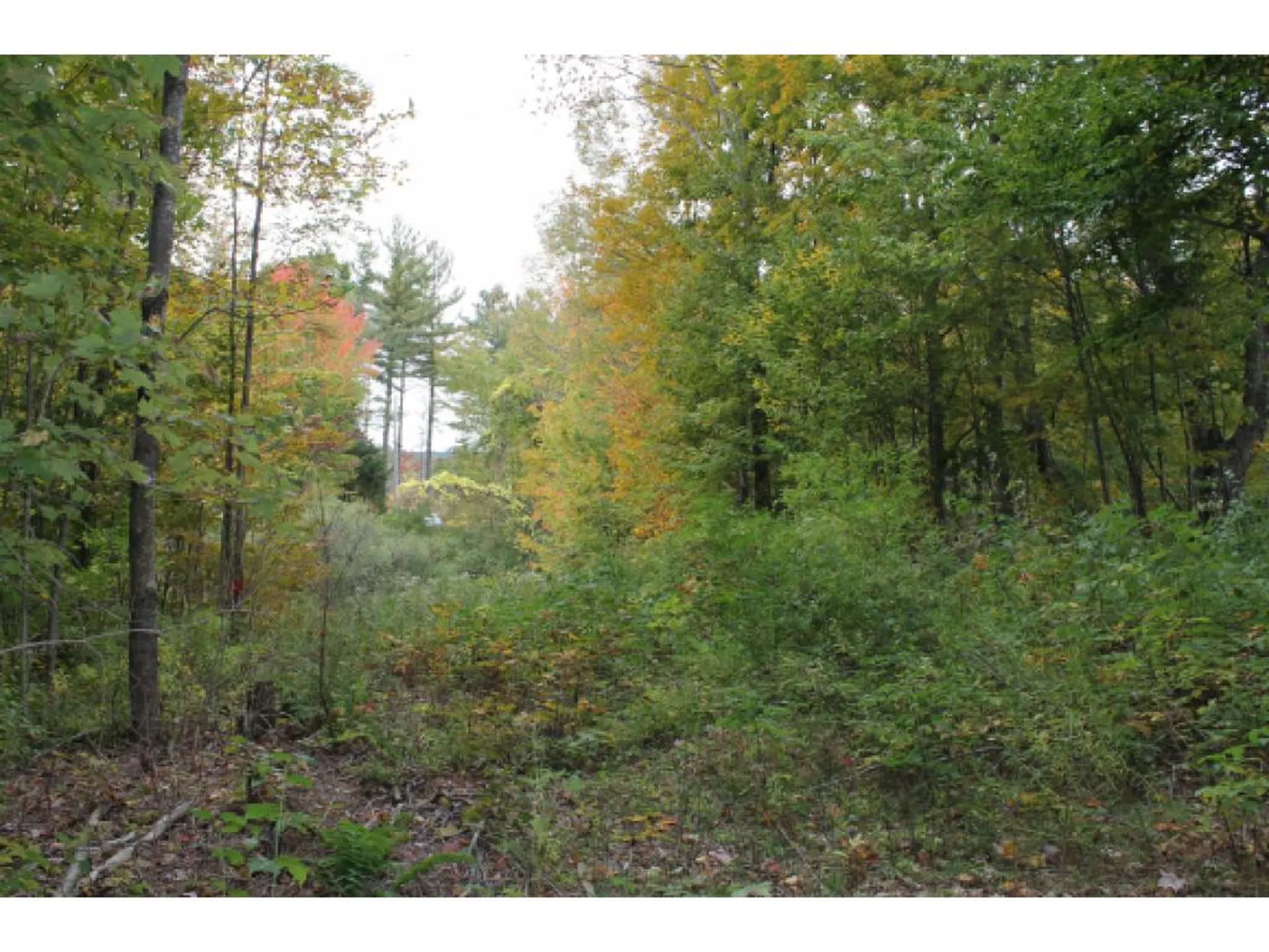 Lot 5b Bix Road Stockbridge VT 05772
