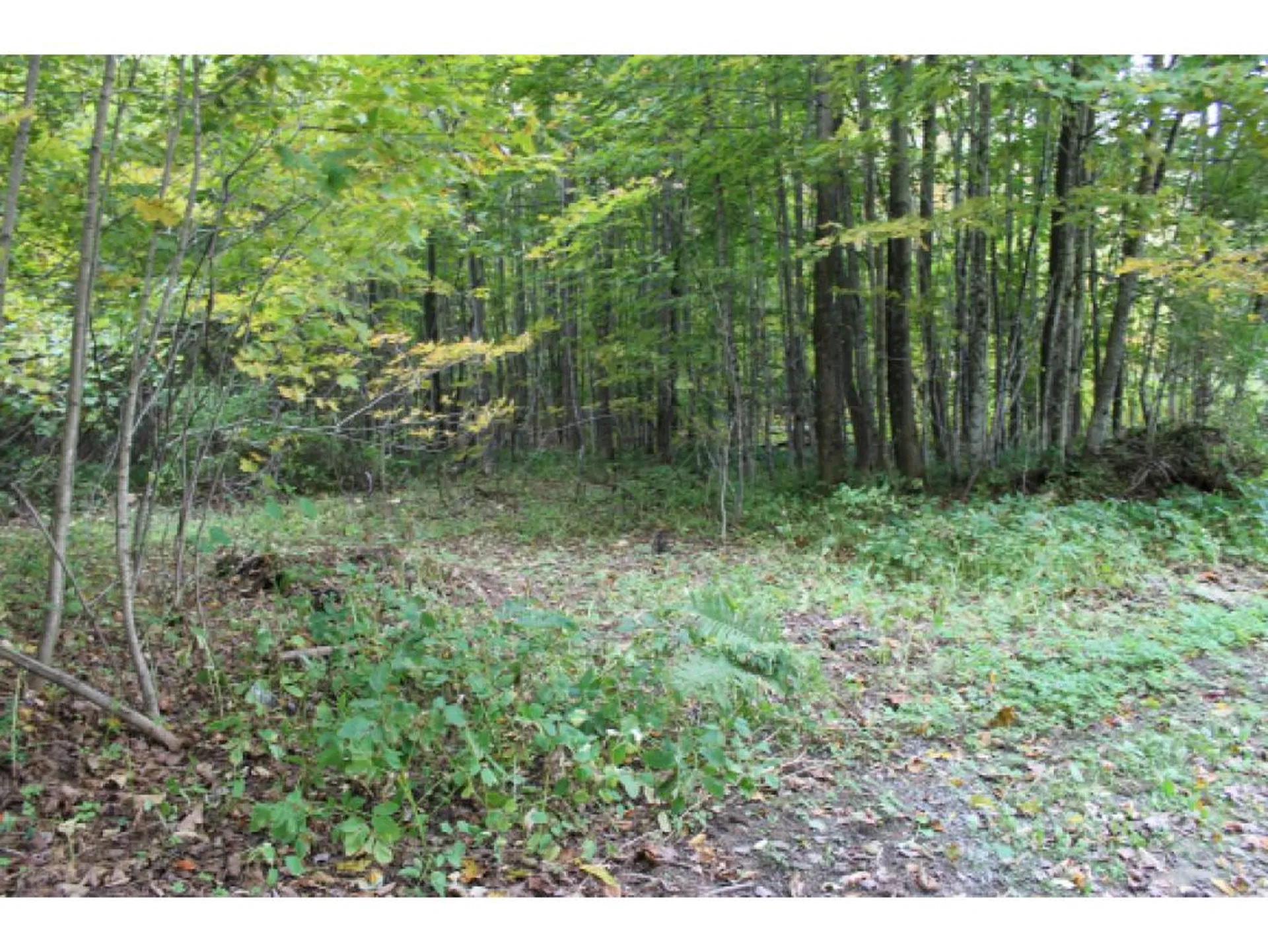 Lot 5b Bix Road Stockbridge VT 05772
