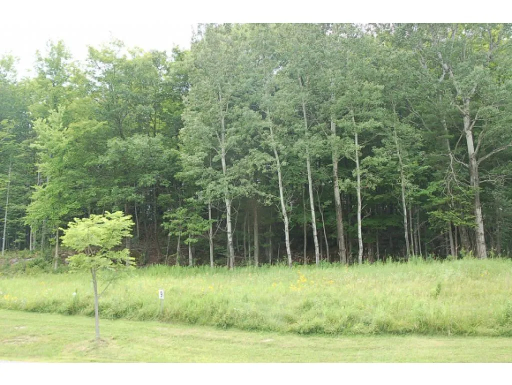 234 South Ridge Drive Middlebury VT 05753