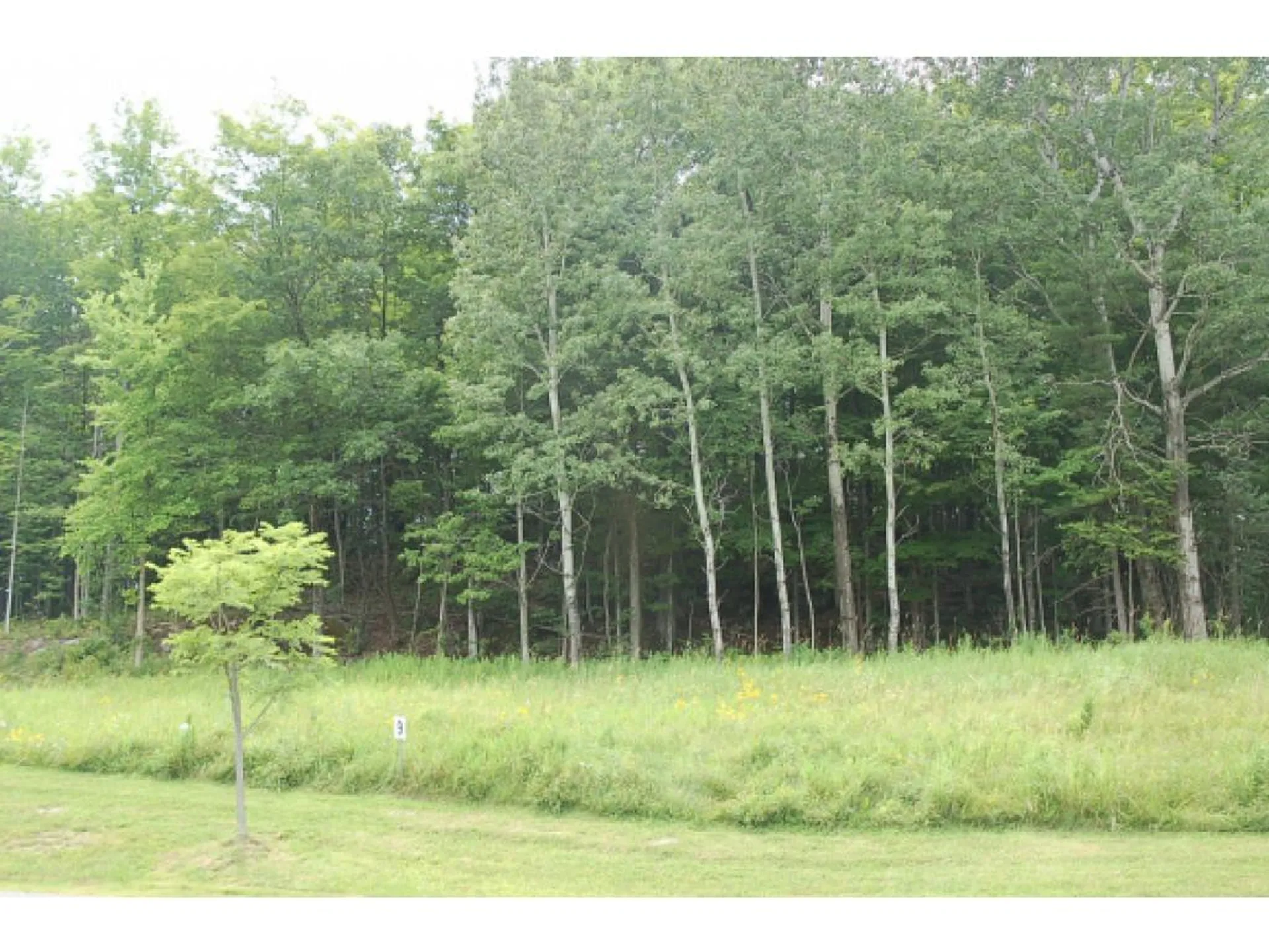 234 South Ridge Drive Middlebury VT 05753