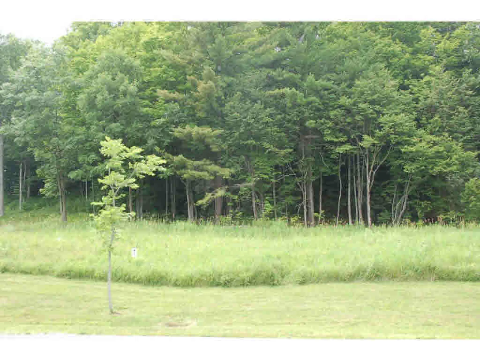 192 South Ridge Drive Middlebury VT 05753