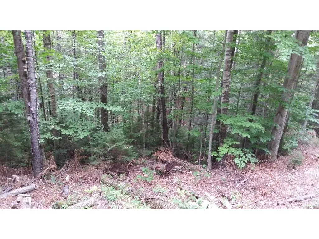 0 Rogers Road Bridgewater VT 05035