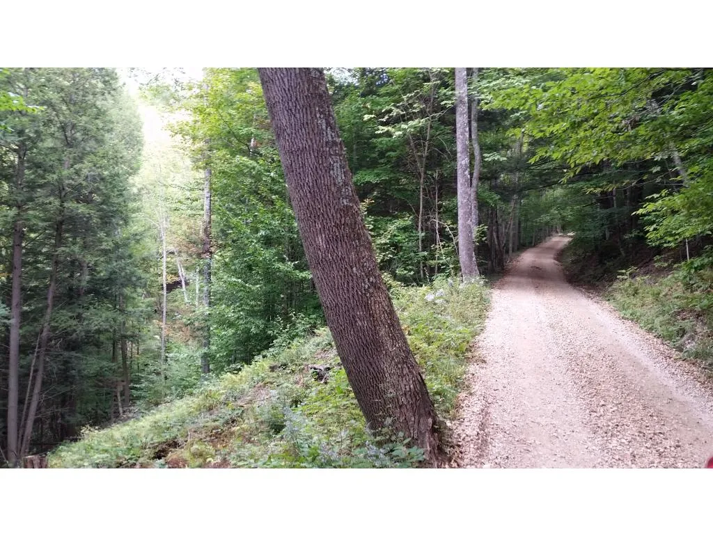 0 Rogers Road Bridgewater VT 05035