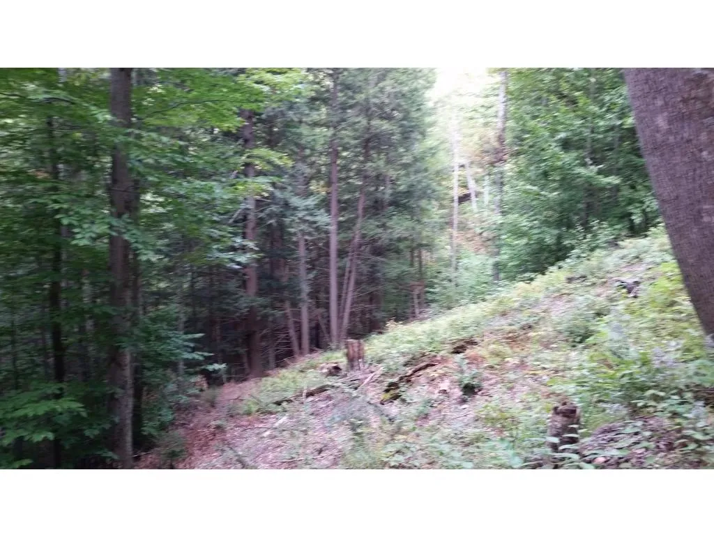 0 Rogers Road Bridgewater VT 05035