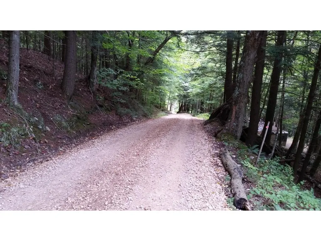0 Rogers Road Bridgewater VT 05035