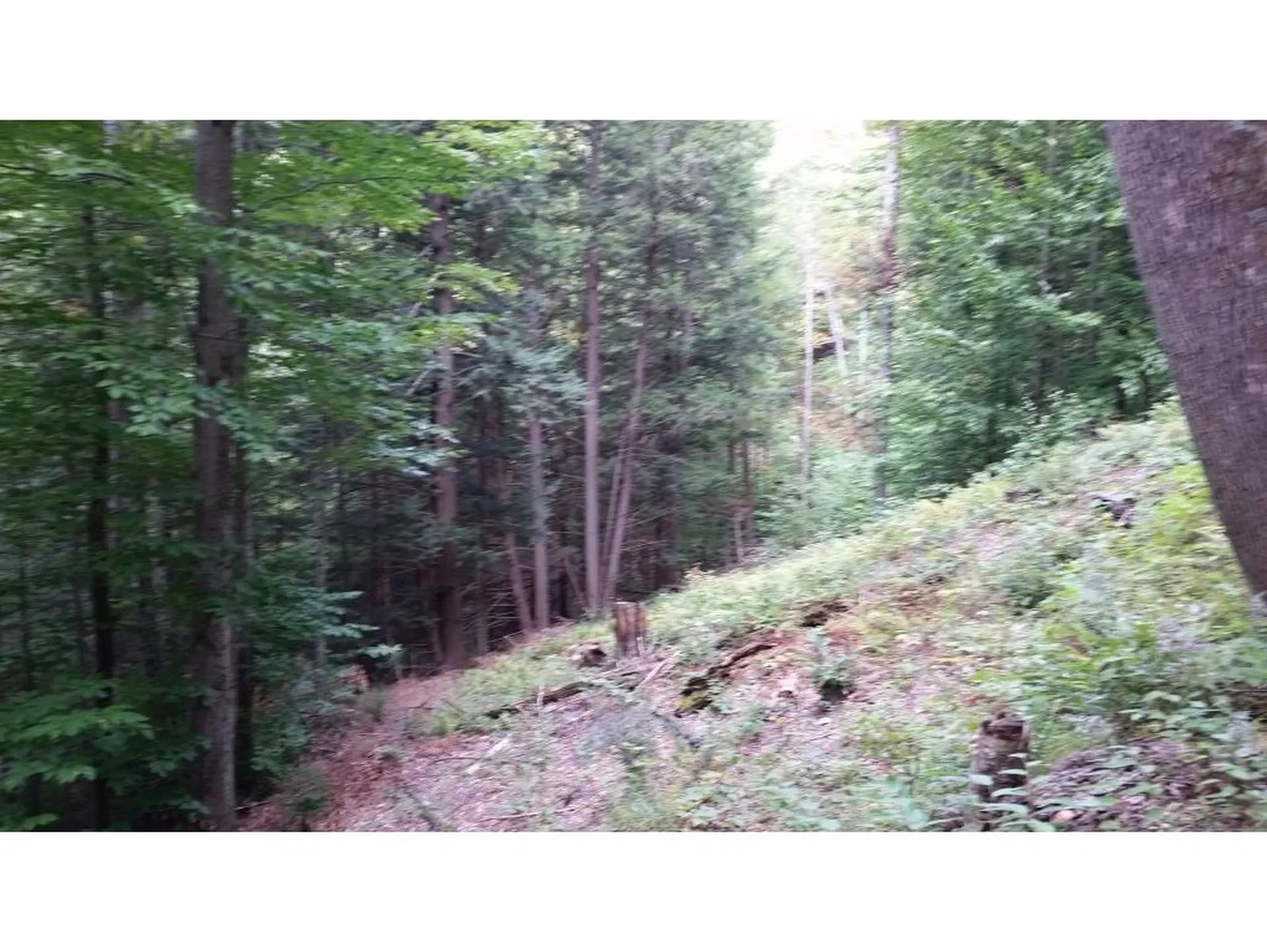 0 Rogers Road Bridgewater VT 05035