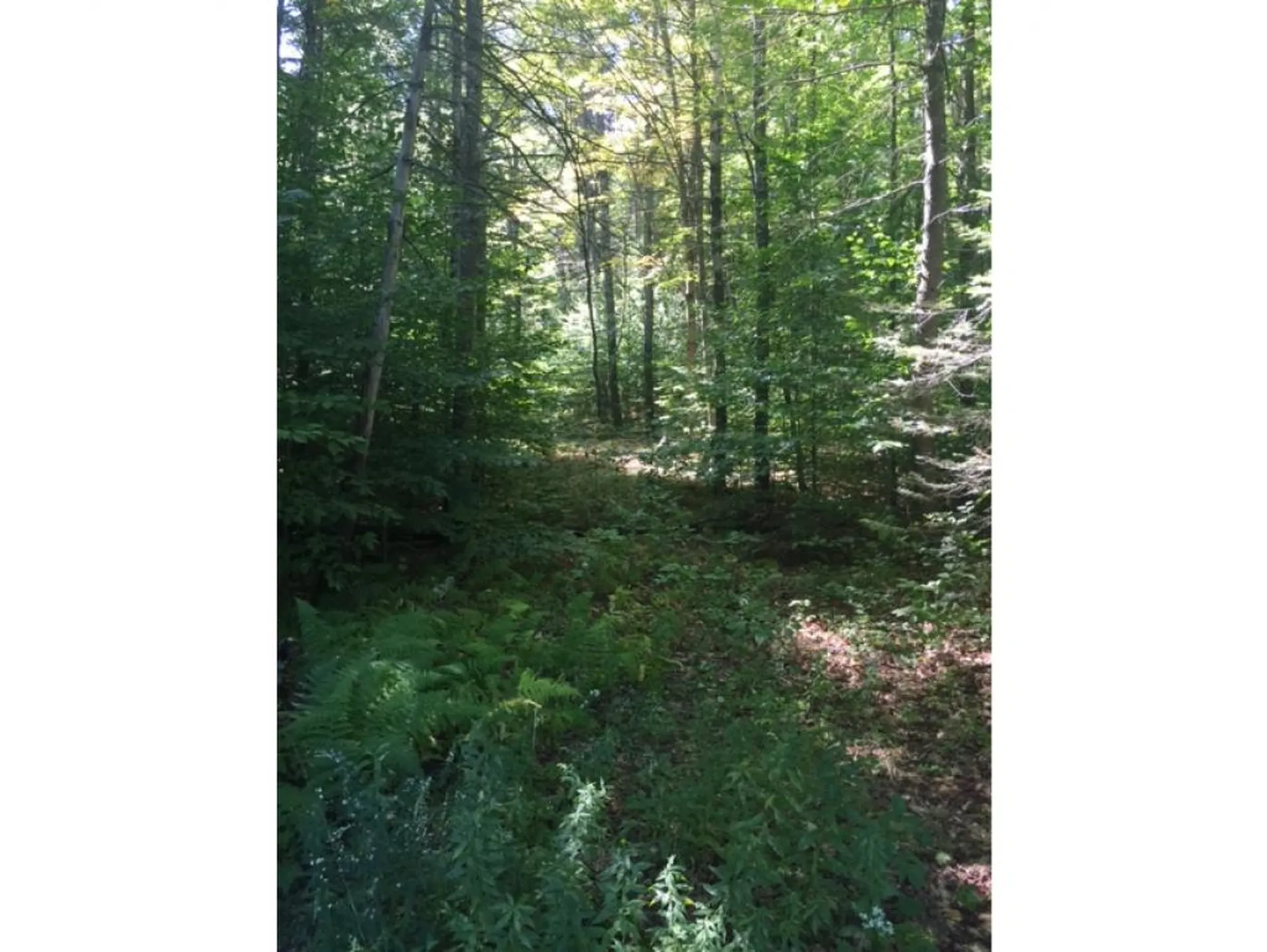 1523 Mcmillan Road Halifax VT 05358